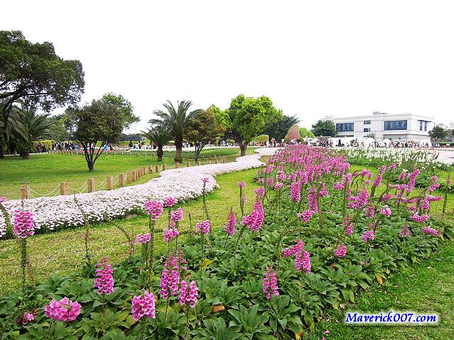 DSCN0115a.jpg