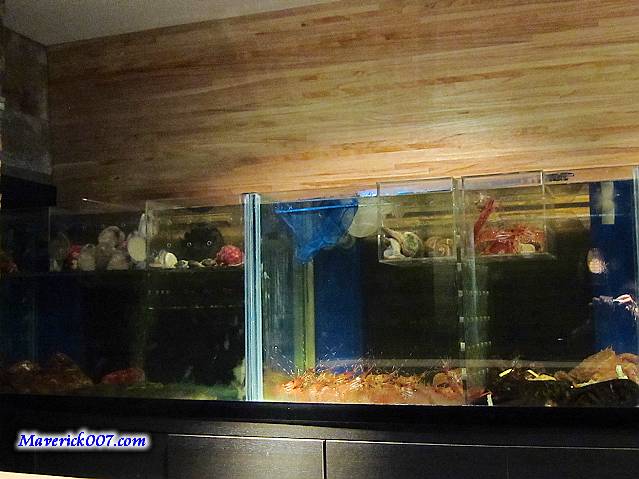 IMG_7167a.jpg IMG_7167a.jpg