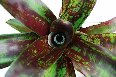 IMGP0019.jpg IMGP0019.jpg