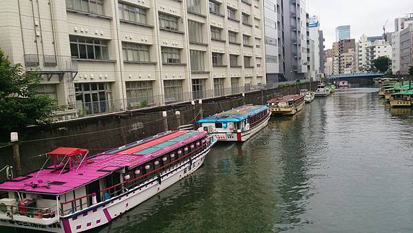 DSC_0053 (2) DSC_0053 (2)