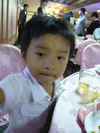 P1190116 (复制).JPG P1190116 (复制).JPG