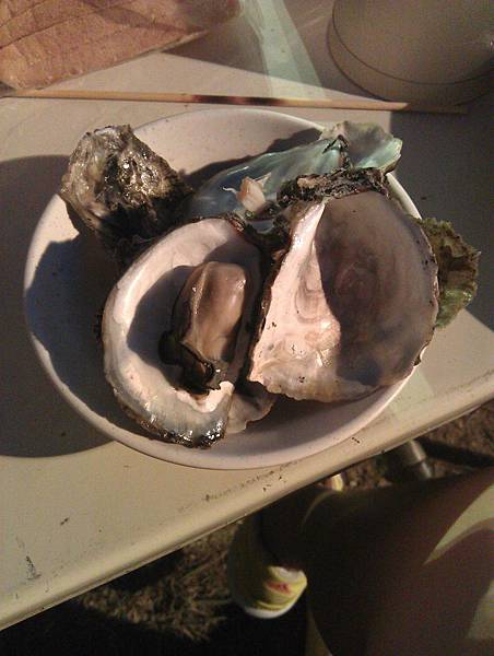 [小琉球] 住宿推薦 小琉球南洋渡假海景莊園 - 美麗海