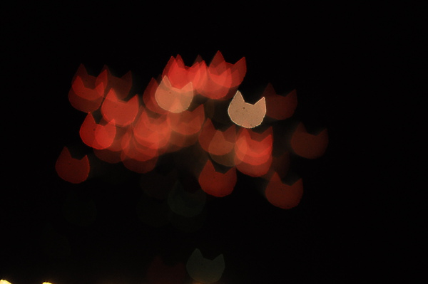 DSC_3477.JPG DSC_3477.JPG