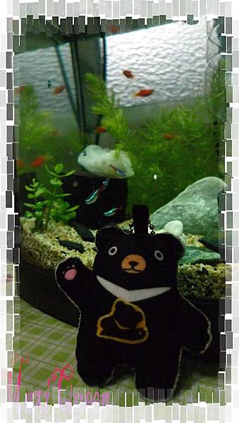 P1030311.JPG P1030311.JPG