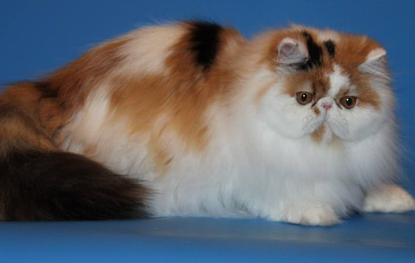 2013-11-29 00.56.58 2013-11-29 00.56.58