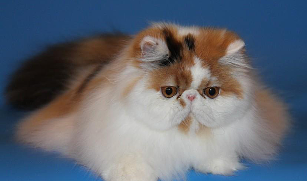 2013-11-29 00.55.32 2013-11-29 00.55.32