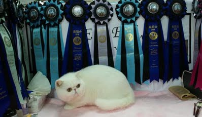 2014-03-13%2005_09_55