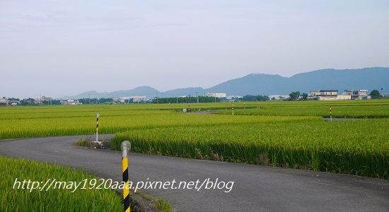 2014-06-02_冬山-三奇_P1040542.JPG 2014-06-02_冬山-三奇_P1040542.JPG