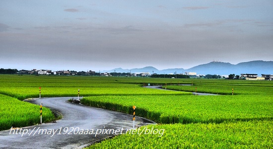 2014-06-02_冬山-三奇_P1040545.JPG 2014-06-02_冬山-三奇_P1040545.JPG