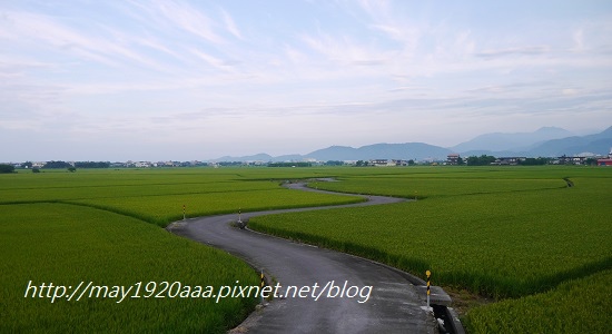 2014-06-02_冬山-三奇_P1040552.JPG 2014-06-02_冬山-三奇_P1040552.JPG