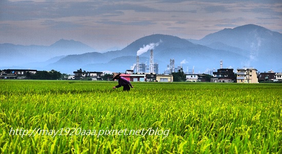 2014-06-02_冬山-三奇_P1040560.JPG 2014-06-02_冬山-三奇_P1040560.JPG