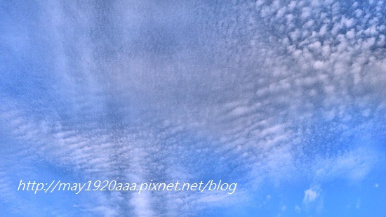 2014-06-02_冬山-三奇_P1040556.JPG 2014-06-02_冬山-三奇_P1040556.JPG