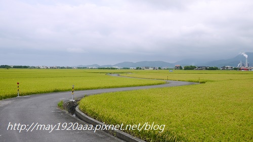 2014-06-22_冬山-三奇_P1040639.JPG 2014-06-22_冬山-三奇_P1040639.JPG