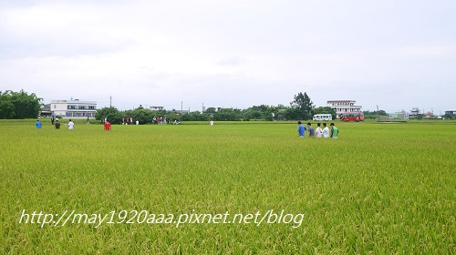 2014-06-22_冬山-三奇_P1040643.JPG 2014-06-22_冬山-三奇_P1040643.JPG