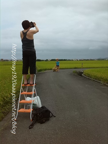 2014-06-22_冬山-三奇_IMG_20140622_161450.jpg 2014-06-22_冬山-三奇_IMG_20140622_161450.jpg