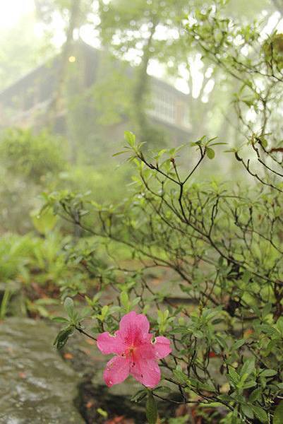 1036588083.jpg 1036588083.jpg