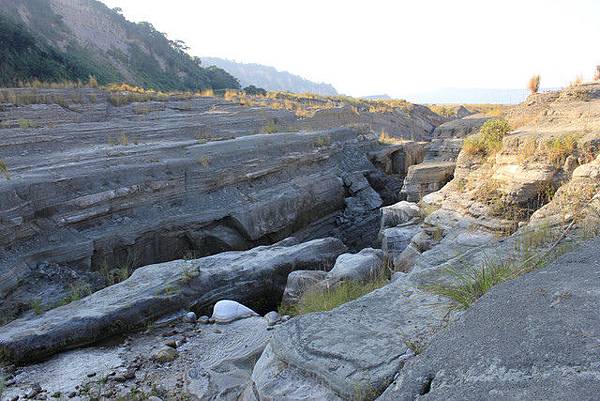 1823695822.jpg 1823695822.jpg