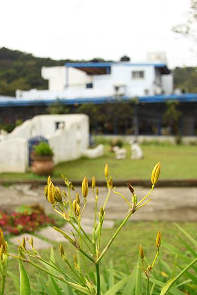 IMG_7518.jpg IMG_7518.jpg