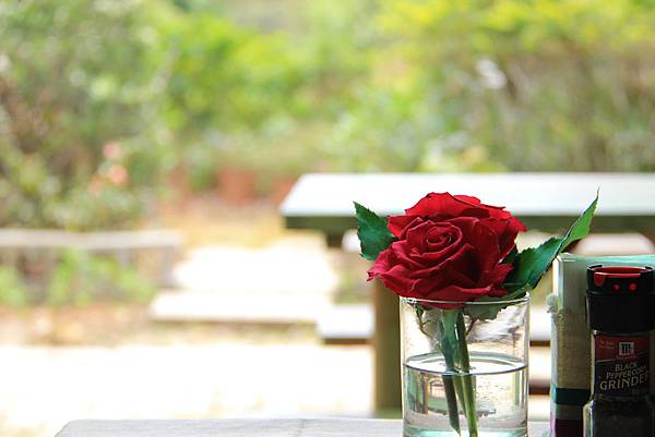 IMG_8457.JPG IMG_8457.JPG