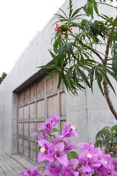 IMG_6852.jpg IMG_6852.jpg