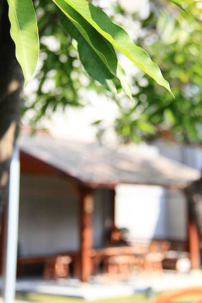 IMG_7208.jpg IMG_7208.jpg