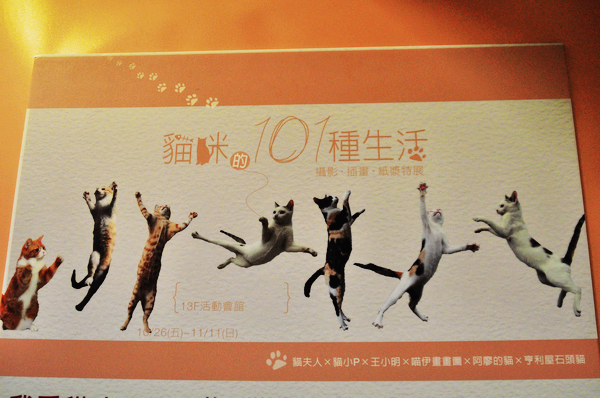 貓咪的101種生活攝影‧插畫‧紙漿特展 @ 我撞著．彩色墮落 :: 痞客邦 PIXNET ::