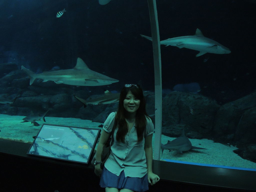DSCN0507 DSCN0507