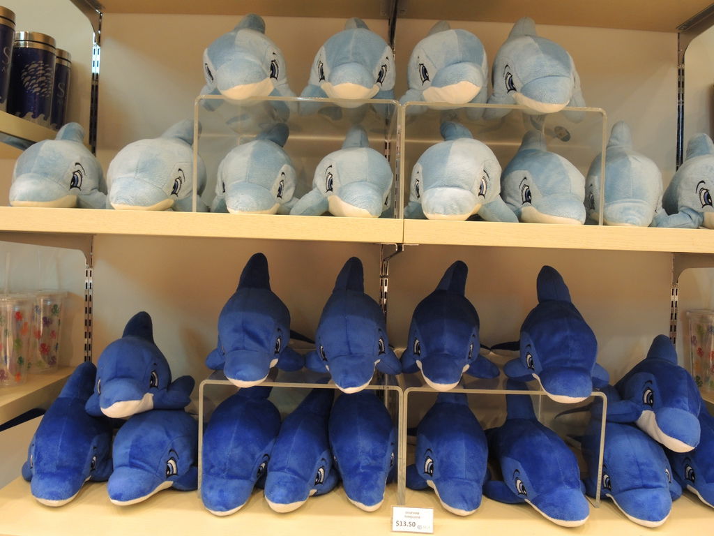 DSCN0516 DSCN0516