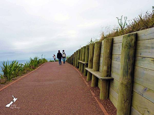 Cape Reinga Cape Reinga