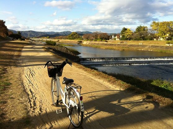 388692_323308791015829_2122070913_n