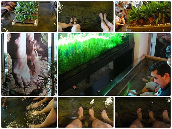 魚呵足樂SPA.jpg 魚呵足樂SPA.jpg