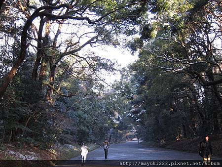 照片 141.jpg 照片 141.jpg