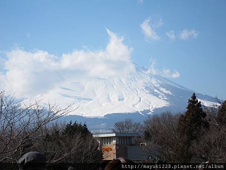 照片 403.jpg 照片 403.jpg