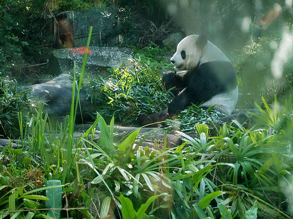 P1010364.JPG P1010364.JPG