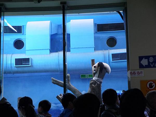 P1010373.JPG P1010373.JPG