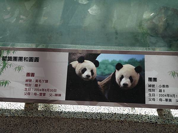 P1010379.JPG P1010379.JPG