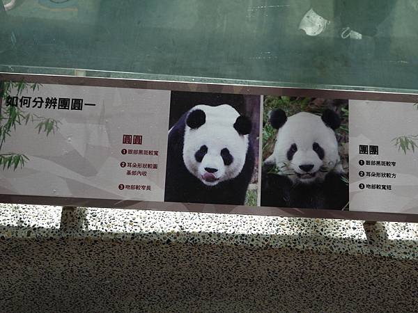 P1010380.JPG P1010380.JPG