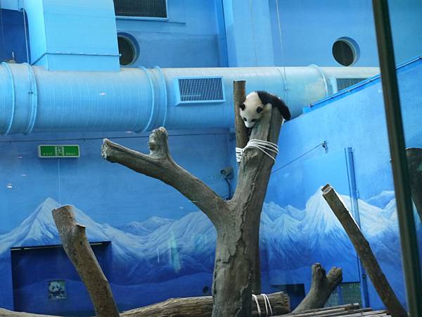 P1010387.JPG P1010387.JPG