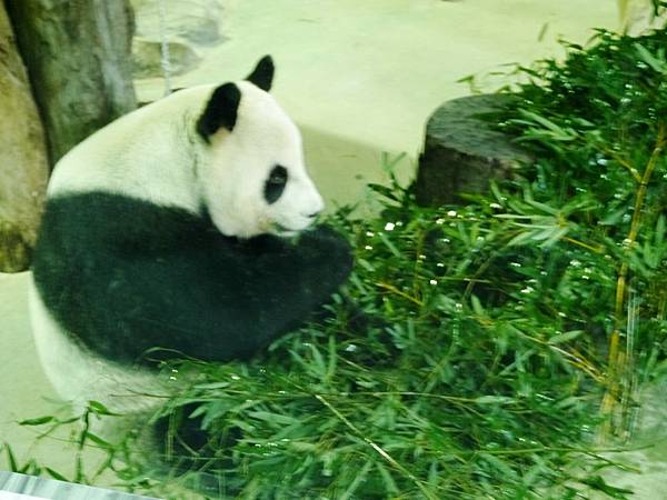 P1010389.JPG P1010389.JPG