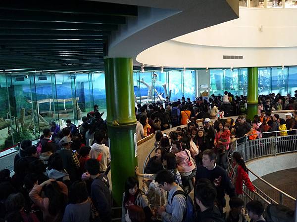 P1010393.JPG P1010393.JPG