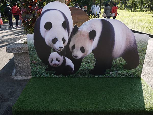 P1010408.JPG P1010408.JPG