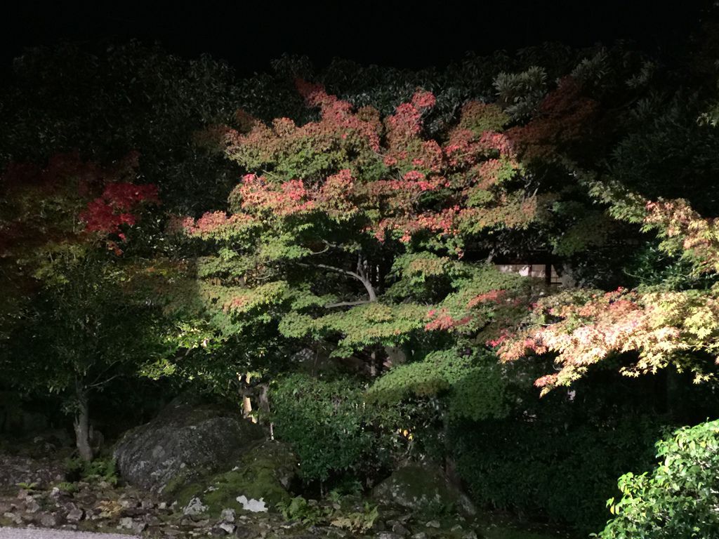 DAY1高台寺09.JPG DAY1高台寺09.JPG