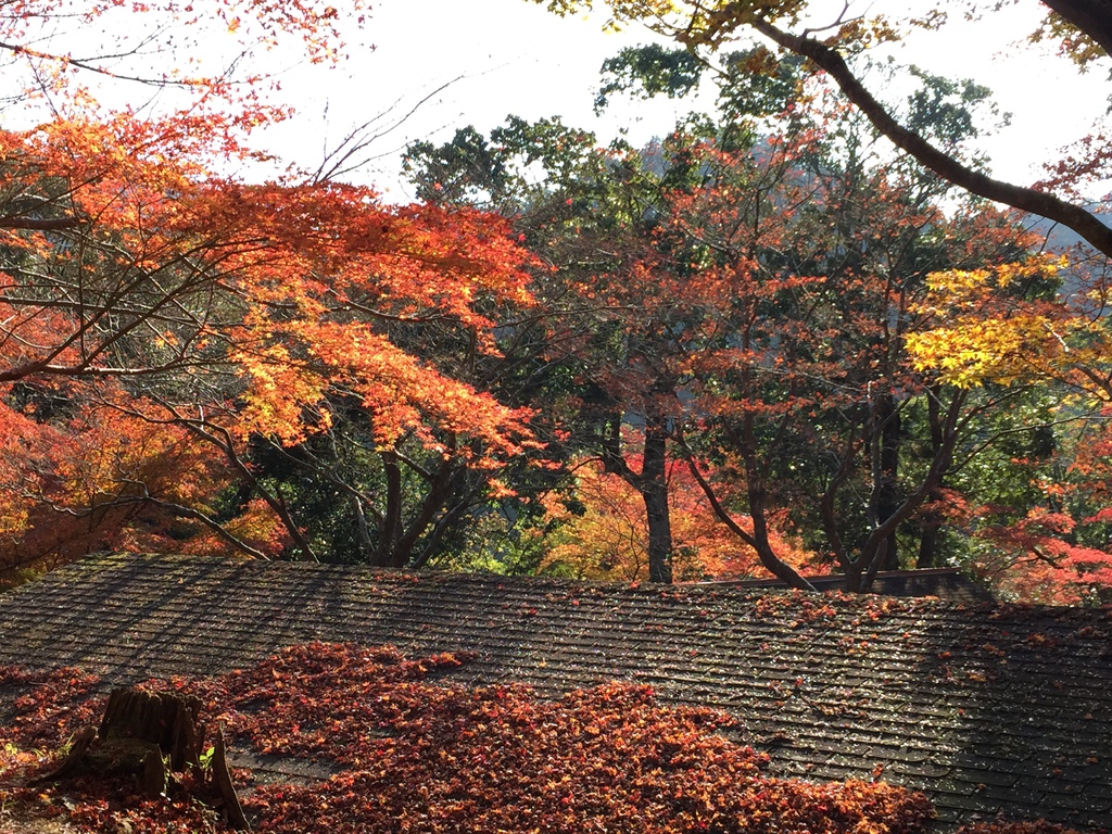 神護寺08.JPG