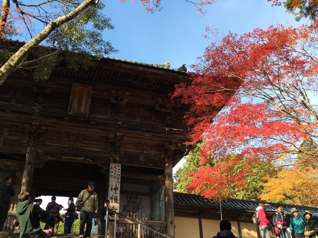 神護寺09.JPG