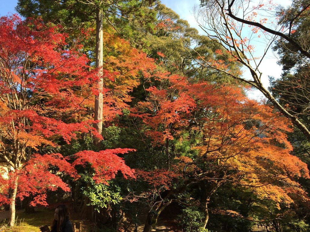 神護寺10.JPG