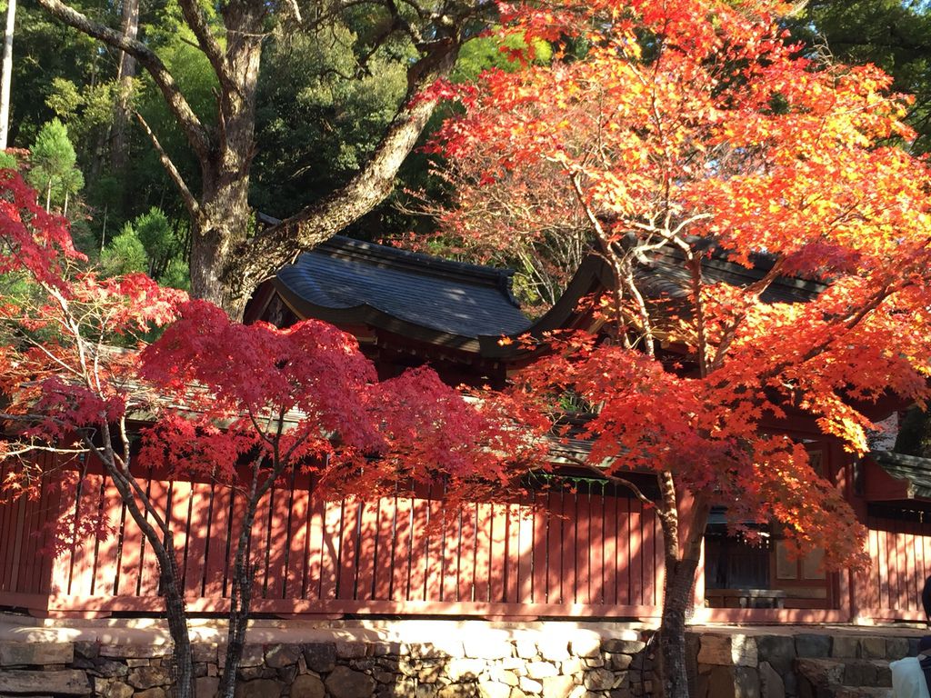 神護寺13.JPG