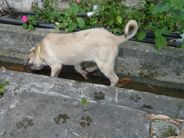 L1030049.JPG L1030049.JPG