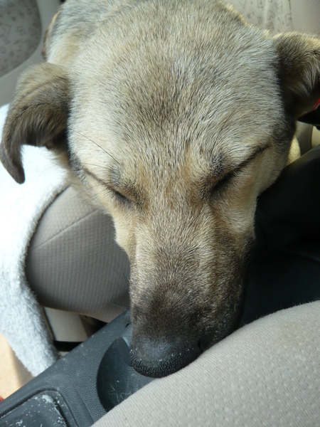 L1030567.JPG L1030567.JPG