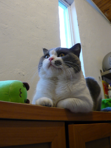 L1040088.JPG L1040088.JPG