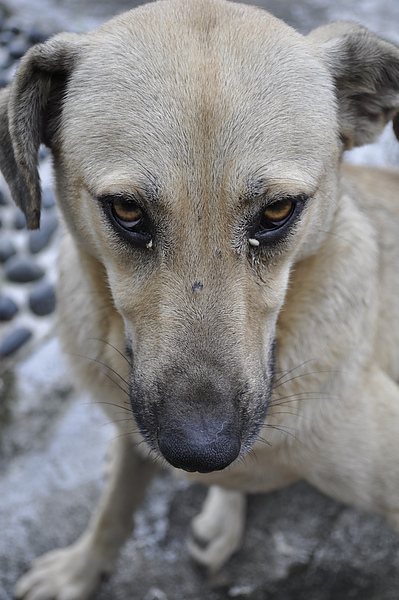 _DSC0035.JPG _DSC0035.JPG